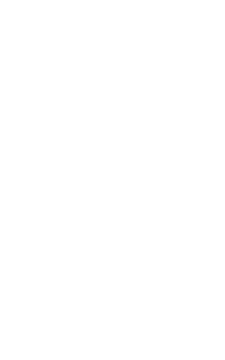 solutions fork